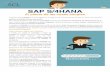 SAP S4-HANA 2016 - SCL Consulting