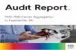 2020 US FDD-TDD AuditReport v3 - UMLAUT.COM