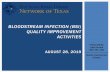 Bloodstream Infection (BSI) Quality Improvement Activities
