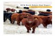 2015 North Dakota Beef Report (AS1775)
