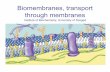 Biomembranes, transport through membranes