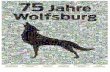 75 JAHRE WOLFSBURG - Braunschweiger Zeitung