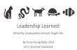 Leadership Learned: What My Unadoptable Animals Taught Me.