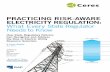 PRACTICING RISK-AWARE ELECTRICITY REGULATION: What …