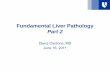Fundamental Liver Pathology Part 2