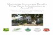 Maximizing Stormwater Benefits Using Green Infrastructure ...
