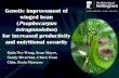 Genetic improvement of winged bean (Psophocarpus ...