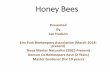 Honey & other Bee Products