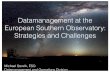 Datamanagement at the European Southern Observatory ...