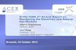ACER/CEER 3 Annual Report on Monitoring the Electricity ...