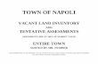 VACANT LAND INVENTORY - napoliny.org