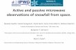 Active and passive microwave observations of snowfall from ...