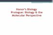 Basic Skills: Scientific Method, Metric ... - Honors Biology