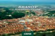 CBRE Brasov Real Estate Report small