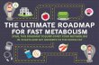 THE ULTIMATE ROADMAP FOR FAST METABOLISM