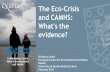 The Eco-Crisis and CAMHS: What's the evidence?