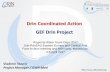 Drin Coordinated Action GEF Drin Project