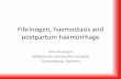 Fibrinogen, haemostasis and postpartum haemorrhage