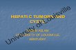 HEPATIC TUMORS AND CYSTS. - Louisville