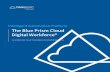 Intelligent Automation Platform The Blue Prism Cloud ...