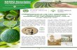 COMMEMORATION OF THE 120 ANNIVERSARY OF PLANT …
