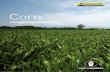 Corn - CNH Industrial