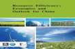 Resource Efficiency: Economics and Outlook for China