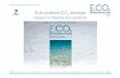 Sub-seabed CO2 storage: Impact on Marine Ecosystems