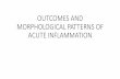 OUTCOMES AND MORPHOLOGICAL PATTERNS OF ACUTE …