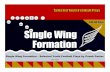 WB3 QB1 FB4 Single Wing Formation