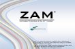 ZAM - WHEELING-NIPPON STEEL