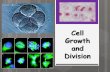 Cell Growth and Division - Weebly