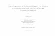 Development of Methodologies for Strain Measurement and ...