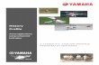 History Profile - Yamaha Motor