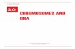 CHROMOSOMES AND DNA - ilmkidunya.com