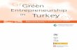 FINAL REPORT TURKEY - CP/RAC