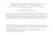 Reallocation Effects of the Minimum Wage: Evidence From ...