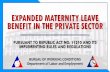 EXPANDED MATERNITY LEAVE BENEFIT IN THE PRIVATE SECTOR