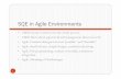 SQE in Agile Environments - flip.ee.usyd.edu.au