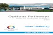 Options Pathways - Beamont Collegiate Academy