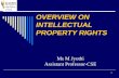 OVERVIEW ON INTELLECTUAL PROPERTY RIGHTS