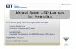 E3T E fficiency Emerging echnologies Mogul Base LED Lamps ...