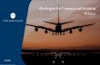 Hydrogen for Commercial Aviation