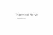 Trigeminal Nerve - NotesMed