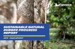 Sustainable Natural Rubber Progress Report 2015 2020 | 1