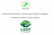 Lowering Emissions, Enhancing Forests in Nagaon