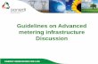 Guidelines on Advanced metering infrastructure Discussion