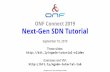 ONF Connect 2019 Next-Gen SDN Tutorial