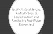 Family First and Beyond: A Mindful Look at Service ...