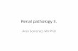 Renal pathology II. - Semmelweis